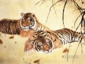 tigres photos chinois